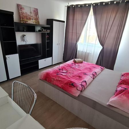 Апартаменти Garsoniera 30Mp Chrysflatty1 - Free Netflix Арад Екстер'єр фото